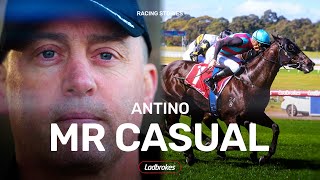 Will Antino Deliver Tony Gollan A LongAwaited Stradbroke Handicap Win [upl. by Geerts]