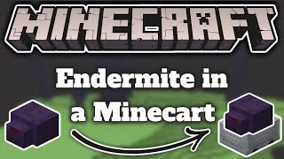 How to Trap an Endermite in a Minecart 117 [upl. by Yslek593]