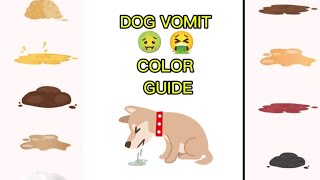 Dog Vomit Color Guide 🦮 youtube dog emesis vomitcolor vomiting [upl. by Aihsia]