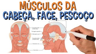 Nome Dos Principais Músculos Da Cabeça Face E Pescoço  Resumo Animado de Anatomia [upl. by Willtrude]