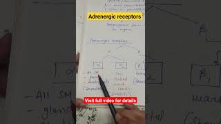 Adrenergic receptors shorts physiology nervous system CNS [upl. by Adolfo]