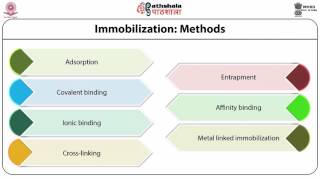 Enzyme Immobilization techniques use of isolated enzymes in industrial processes [upl. by Ennoryt670]