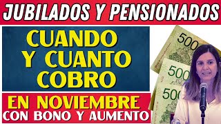 💲 CUANDO Y CUANTO COBRO EN NOVIEMBRE Jubilados y Pensionados  PNC de ANSES [upl. by Anerom132]