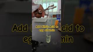 Xanthoproteic TestEgg Albumin  Nitric Acid amp heat 12th chemistryscience [upl. by Ainirtac]