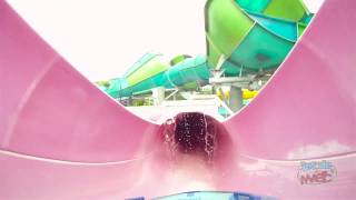 Whanau Way water slide POV at Aquatica SeaWorld Orlando [upl. by Proudman833]