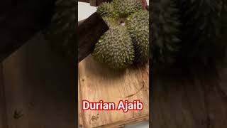 Durian Ajaib Dan Langkaдуриан [upl. by Stephanie]