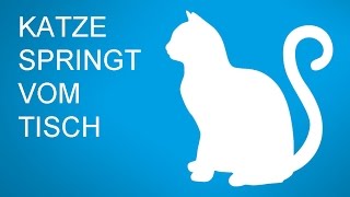 katze springt vom tisch  lustiges katzen vidio [upl. by Tormoria]