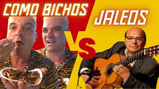 FALSETÓN JALEOS EXTREMEÑOS Y COMO BICHOS MIGUEL VARGAS REMATES Y VARIACIONES TUTORIAL OBLIGADO [upl. by Annabal812]