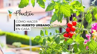 🪴 Cómo Hacer un Huerto Urbano en Casa Paso a Paso [upl. by Meyeroff]