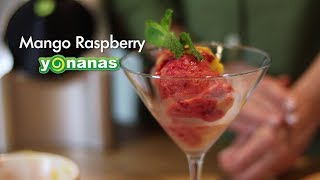 Mango Raspberry Yonanas Recipe [upl. by Mathilde59]