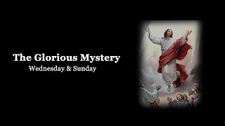 Holy Rosary  Sorrowful Mysteries  Tuesday amp Friday [upl. by Seaman]