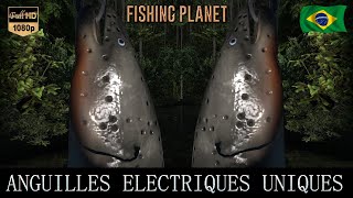 FISHING PLANET BRÉSIL XP FARM 195 LANGUILLE ÉLECTRIQUE UNIQUE [upl. by Ivanna]