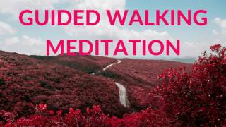 GUIDED WALKING MEDITATION  FREE YOUR MIND IN 15 MINUTES [upl. by Alhak]