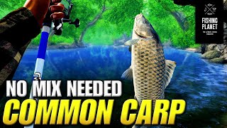 Common Carp Hotspot on Neherrin River  Fishing Planet [upl. by Nevuer]