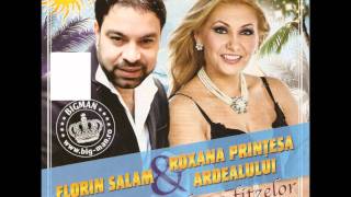 Florin Salam si Roxana Printesa Ardealului  Am acasa un tablou 2011 [upl. by Seftton]