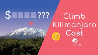 How Much Does It Cost To Climb Mt Kilimanjaro  💰 [upl. by Reitrac603]