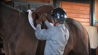 Quick Tip For Keeping Your Saddle From Slipping Back [upl. by Erskine853]