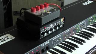 ARP Omni  Gristleizer VCF  AD4096 Analog Delay [upl. by Akemeuwkuhc]