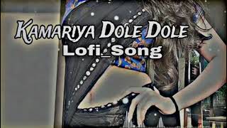 kamariya dole dole slowed reverb and lofi song [upl. by Boswall676]