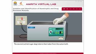 Isolation and Identification of Auxotrophic and Drug Resistant Mutants [upl. by Koziara]