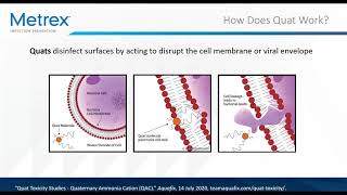 Quat vs High Alcohol in Surface Disinfectants [upl. by Feigin570]