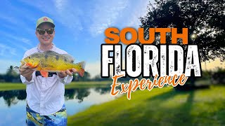 Sight Fishing for South Floridas Most Aggressive Species [upl. by Rehc]