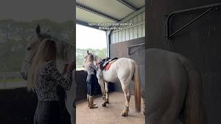 Tack up and do pole work with me horse equestrian equestrianlife clydiecross horsetrainer [upl. by Essile]