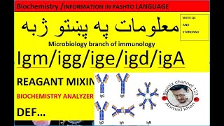 Immunoglobulin iggigm igAigeigD in pashto [upl. by Sualkin]