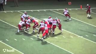 5Star DB DEONTAY ANDERSON 2014 Junior MidSeason Highlights [upl. by Amadeus]