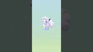 ✨ Shiny Alolan Vulpix ✨ Hatched from a 7km Egg Pokemon GO shorts [upl. by Magbie299]