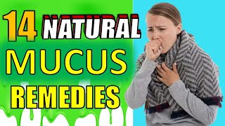 14 Powerful Natural Homes Remedies to Remove Mucus amp Phlegm From Lungs Naturally [upl. by Ahsilam]