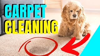 🟡 CORRECTING BROWN SPOTS CARPET CLEANING WICKING CARPET amp RECURRING SPOTS FROM CARPET CLEANING [upl. by Sivrup]