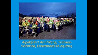 Alpabfahrt Arni Wang Untertrübsee  Wichried Ennetmoos vom 28092024 [upl. by Idelson]