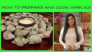 How to Prepare and Cook Whelks  Sea Snails  How to Clean and Cook Sea Snails  Cooking Sea Snails [upl. by Airamana]