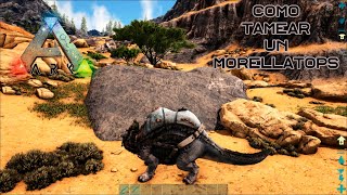 Como tamear un Morellatops de manera fácil y rápida En Ark Survival Evolved [upl. by Montagna]