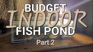 Budget Indoor Fish Pond Part 2 [upl. by Oinotla293]