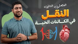 النقل في الإنسان 1  القلب والأوعية الدموية 🩸💟 تانية ثانوي أحياء [upl. by Tselec]