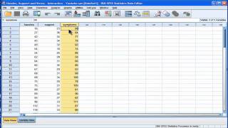 Multiple Regression  Interaction SPSS part 1 [upl. by Eniledam]