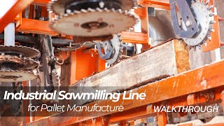 WoodMizer TVS HD Industrial Sawmilling Line for Pallet Manufacture  WoodMizer Europe [upl. by Ahsenroc898]