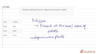 Swollen leaf base found in leguminous plants is called [upl. by Esaj]