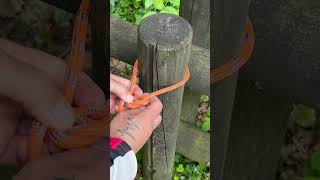 Very Effective HitchHammock Knot knot knots rope diy ideas tricks [upl. by Bianca496]