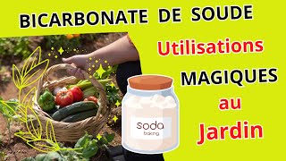 Les Utilisations Magiques du Bicarbonate de Soude dans votre Jardin et Potager [upl. by Eivla]