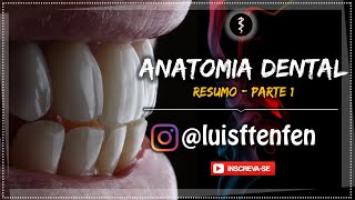 Anatomia Dental RESUMO Parte 1 [upl. by Martinsen]