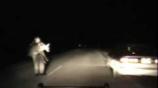 Huron County MI Deputy Rescues Scared Deer In The Road By Picking Her Up [upl. by Ennobe135]