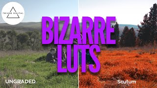 WEIRD LUTs  Triune Digital BIZARRE LUTs Review amp Overview [upl. by Ysle668]