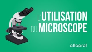 Lutilisation du microscope  Sciences  Alloprof [upl. by Noxaj]