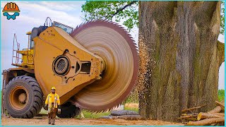 150 Fastest Big Chainsaw Cutting Tree Machines Skills  Tree Felling Climbing With Chainsaw [upl. by Yentirb]