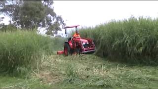 Apollo 55 hp tractor and 6 ft Del Morino Flail Mower 2 [upl. by Eynaffit]