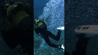 Scuba Dive Canary Islands relaxing travel canaryislands [upl. by Reisman]