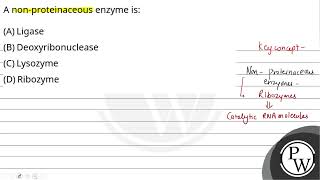 A nonproteinaceous enzyme is [upl. by Oynotna]